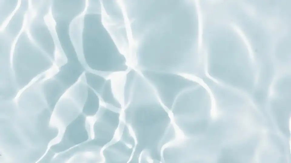 Our most popular services