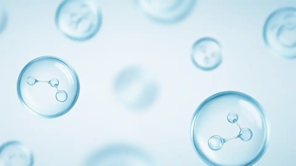 Health & Wellness Services