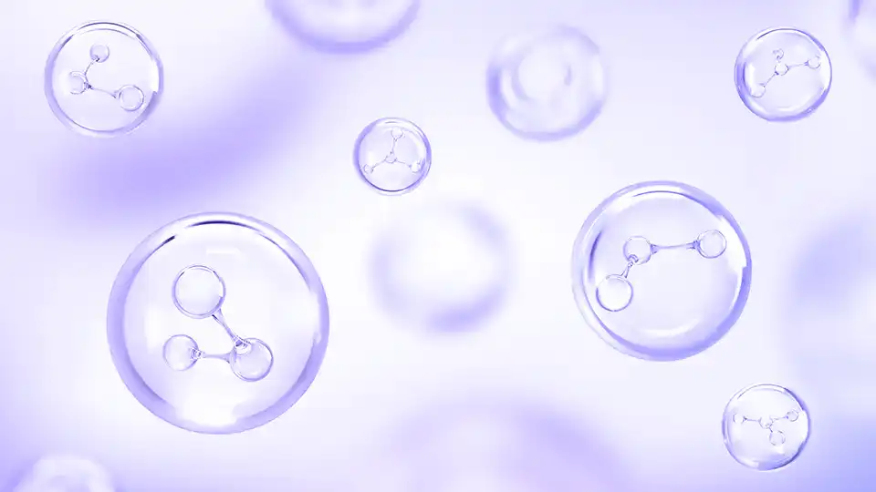 Customers also bought