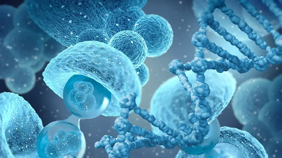 Health & Wellness Screenings